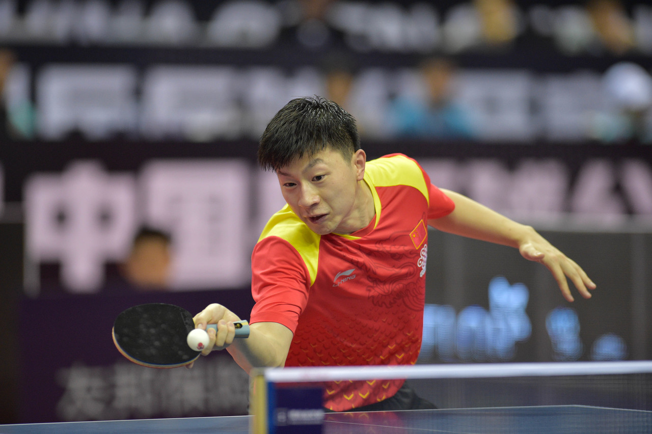 不仅能够为 不仅能够为