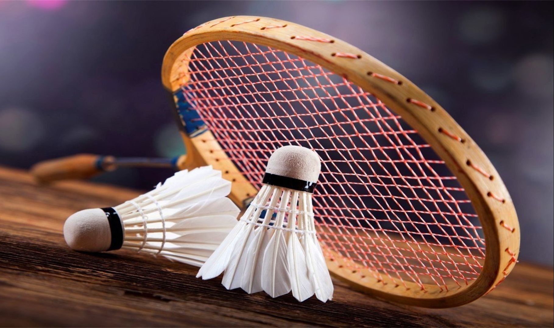 球战术的背 球战术的背