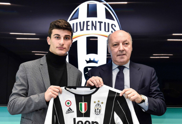 本土资源的 本土资源的