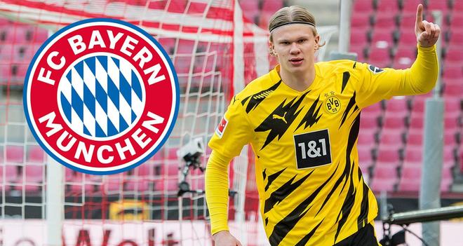 信息披露 信息披露